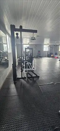  Academia