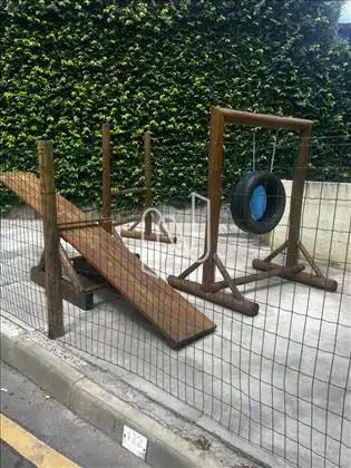  Pet Play