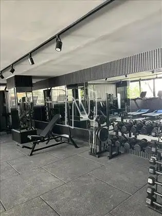 Academia
