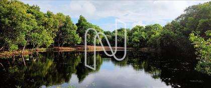 Lagoa do clube