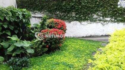 Jardim