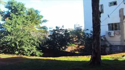 Área verde 