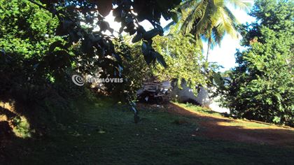  Área verde