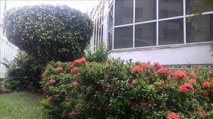 JARDIM
