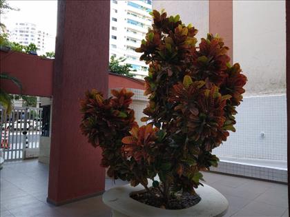 Área de jardim.