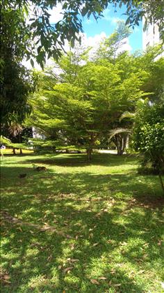 àrea verde do condominio