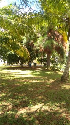 area verde do condominio