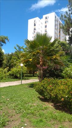Área verde