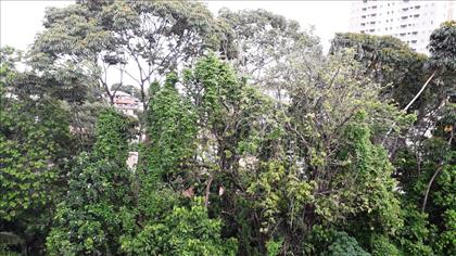 VISTA DA JANELA QUARTO 2