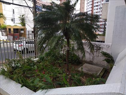 Jardim