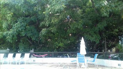 VISTA DA PISCINA