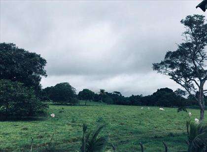 Fazenda 