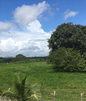 Fazenda 