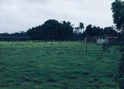 Fazenda 