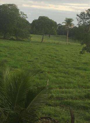 Fazenda 