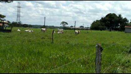 Fazenda 
