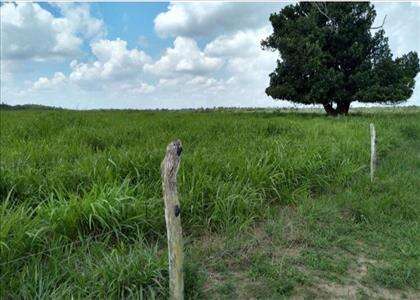 Fazenda 