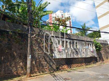 Terreno 