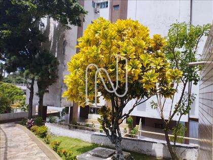 JARDIM 