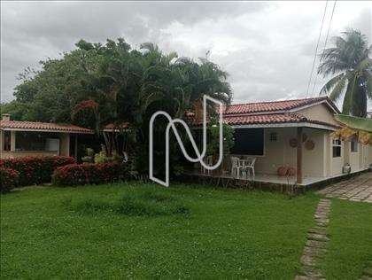 Jardim