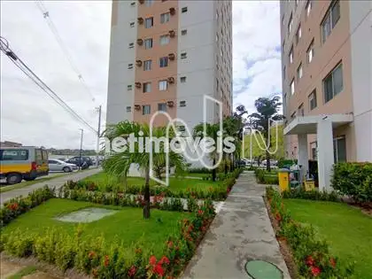  Jardim