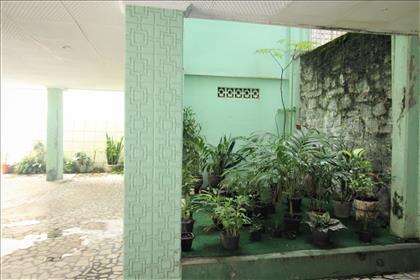 Jardim