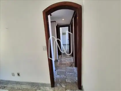  Circulação