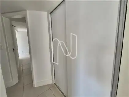  Circulação
