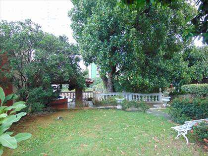 Jardim 