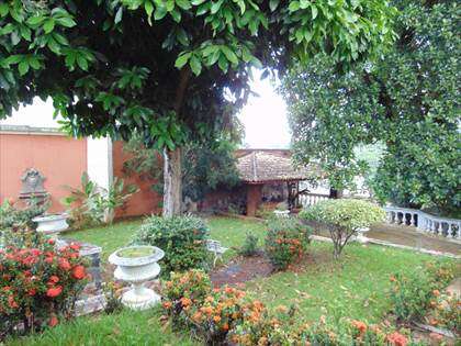 Jardim 