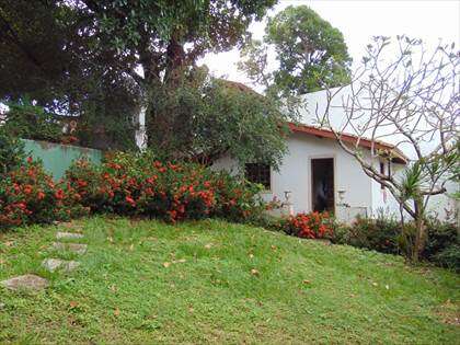 Jardim e dependência de serviço 