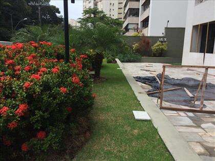 Jardim