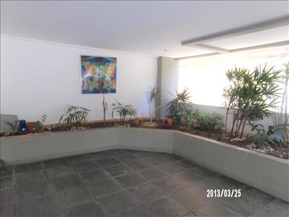 Jardim